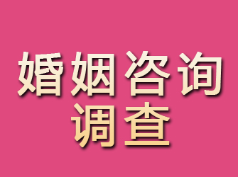 榆社婚姻咨询调查